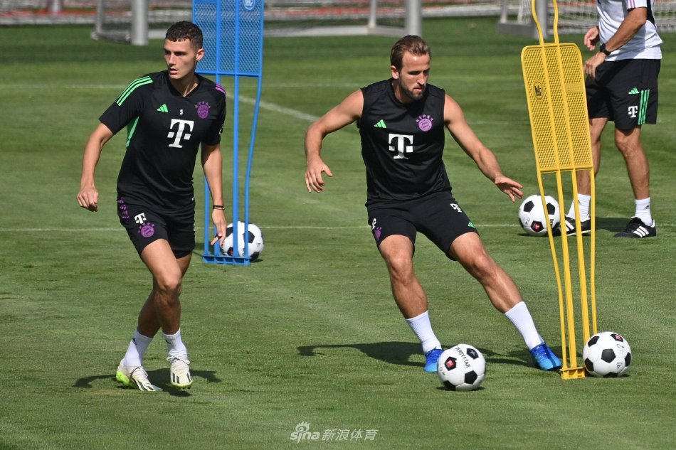 我建议如果 我建议如果