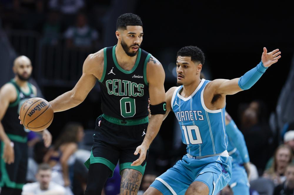 体育领域所 体育领域所